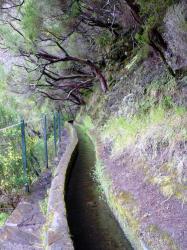 Levada des 25 sources