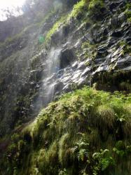 Ecoulements d'eau sur les parois